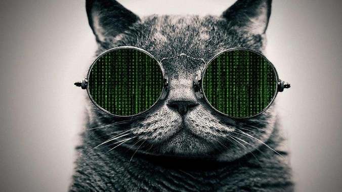 大学做项目，负责人禁止我用 Vue，React，让我用基础 HTML，CSS，JS 开发前端怎么办?